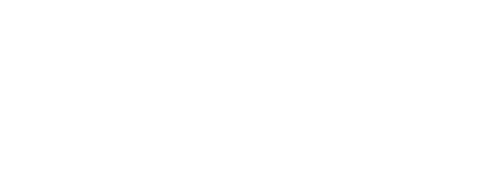 SIE Seguridad Integral Empresaria